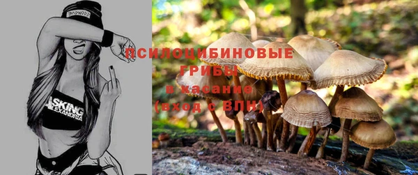 не бодяженный Корсаков