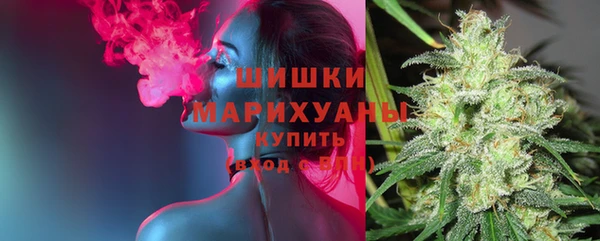 PSILOCYBIN Костерёво